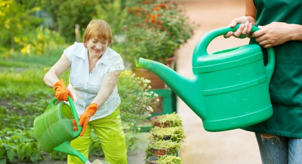 Запам’ятайте ці заборонені години для поливу городу: будете лити сльози – врожай згниє в 1 мить 