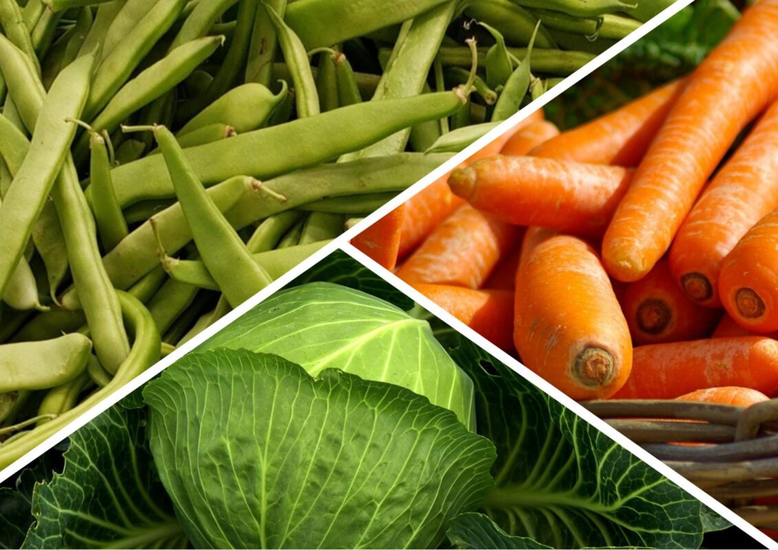 Які рослини можна посіяти на грядки в середині літа