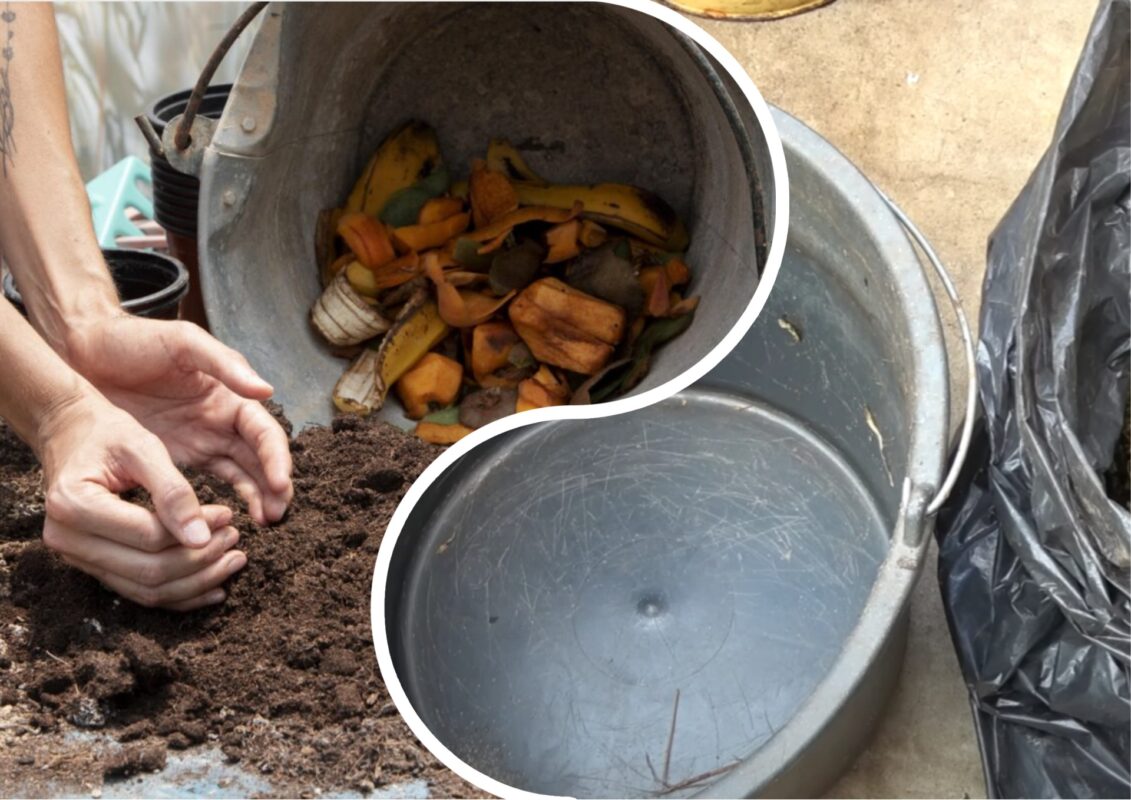 Городники розповіли про найкраще добриво всіх часів: 100% натуральне