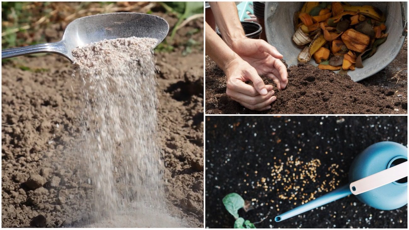 Агроном розповів, яке добриво може залишити вас без врожаїв
