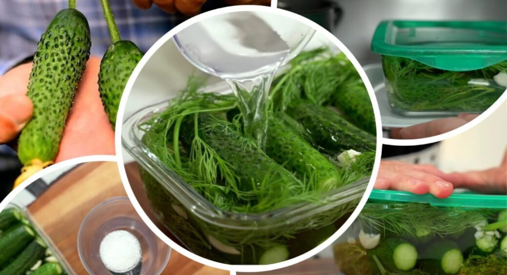 Нарешті знайшла ідеальні пропорції! Навіть 2-3 дні в розсолі огірки залишаться хрумкими 