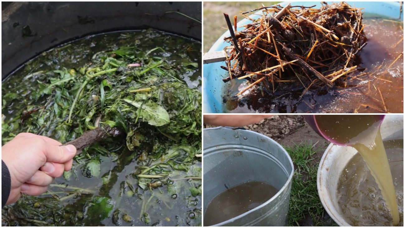Городники розповіли, що покласти в зелене добриво, щоб воно стало ефективнішим