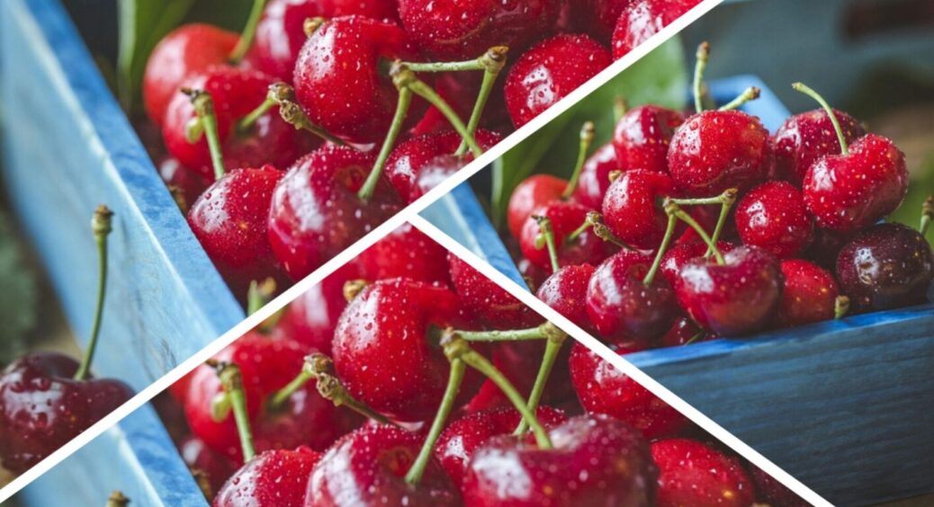 Ось що на Полтавщині роблять з кісточками вишні у 2025: в руках не відходи, а справжній скарб 