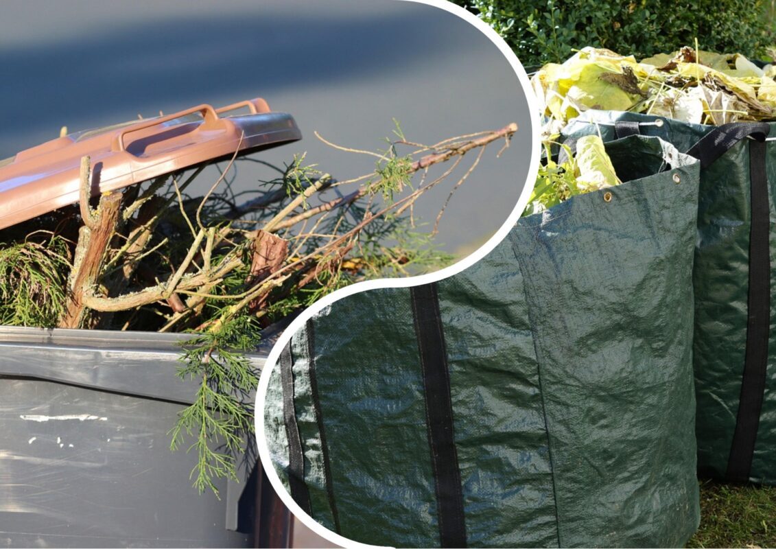 Садівники пояснили, як правильно використовувати рибні відходи на городі