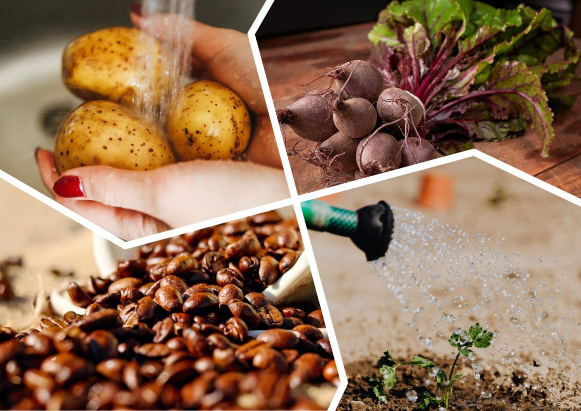 Садівники пояснили, настої з яких трав зроблять ґрунт родючим після цибулі