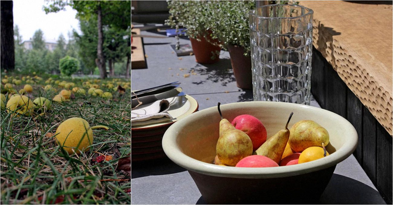 Садівники розповіли, як запобігти осипанню груш у липні