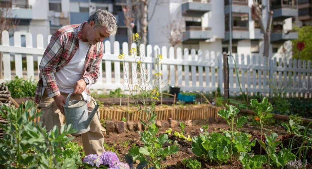 Виносьте з хати на город всі старі дзеркала: овочі та квіти на ділянці різко підуть в ріст 