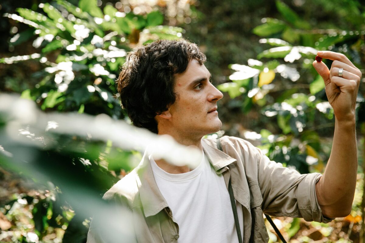 Садівники пояснили, який метод сприяє хорошому плодоношенню квасолі