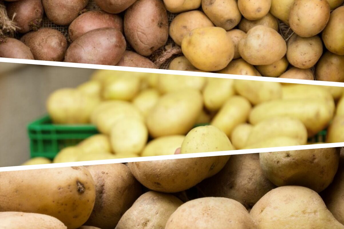 Городники розповіли, як подвоїти врожай картоплі за допомогою одного прийому