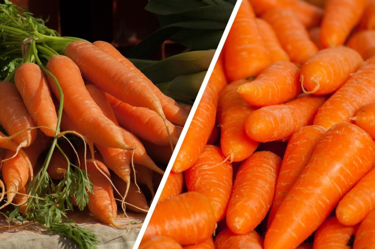 Городники назвали найпоширенішу дію, за якої морква дає поганий врожай