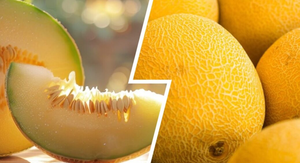 Саджаю їх з року в рік – найкращі: сорти динь, які перевершать всі ваші очікування в 2025-му 