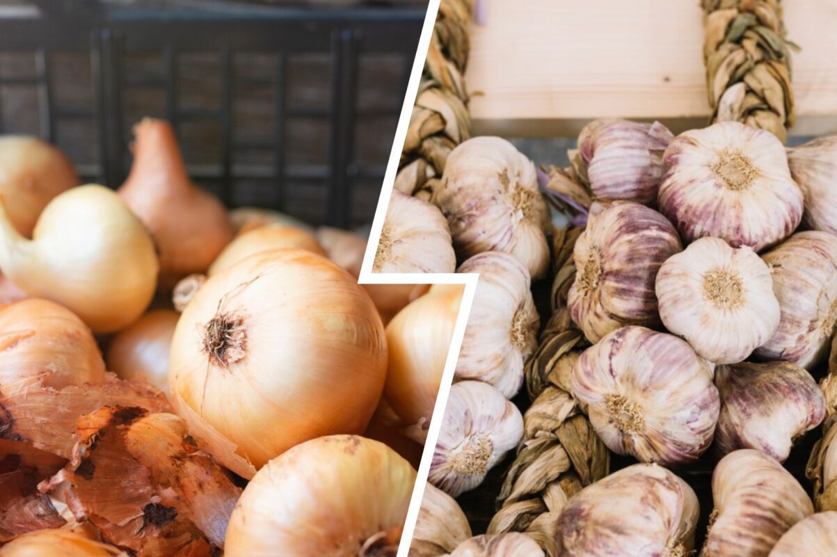 Дачники розсекретили найкраще добриво для цибулі й часнику в липні