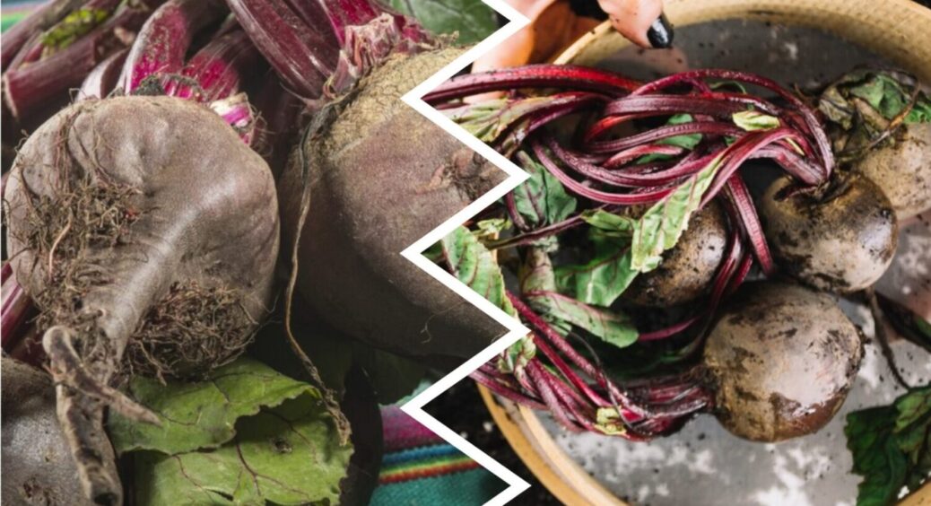 Не калій і не бор: ось чим треба полити буряк вже в липні – встигніть до 1 серпня 2025 