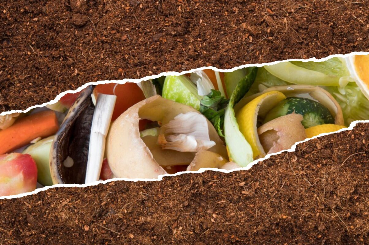 Садівники пояснили, яке добриво зробить родючим найважчий ґрунт