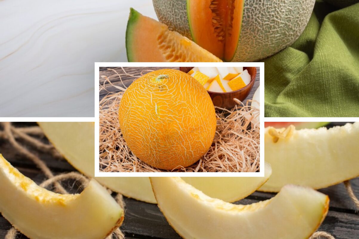 Садівники розповіли, що зробити з динею в липні, щоб зібрати солодкий врожай