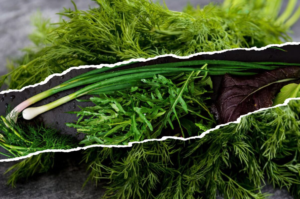 Городники розповіли, що зробити з зеленню, щоб вона продовжувала давати врожай