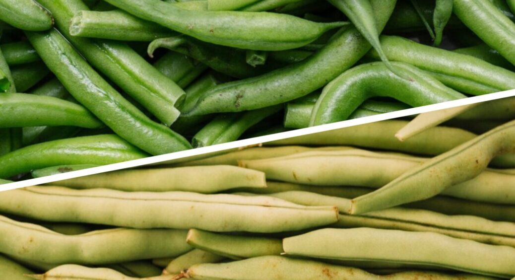 Щороку висаджую квасолю, але не заради урожаю: ось чому в мене в 3 рази більше овочів 