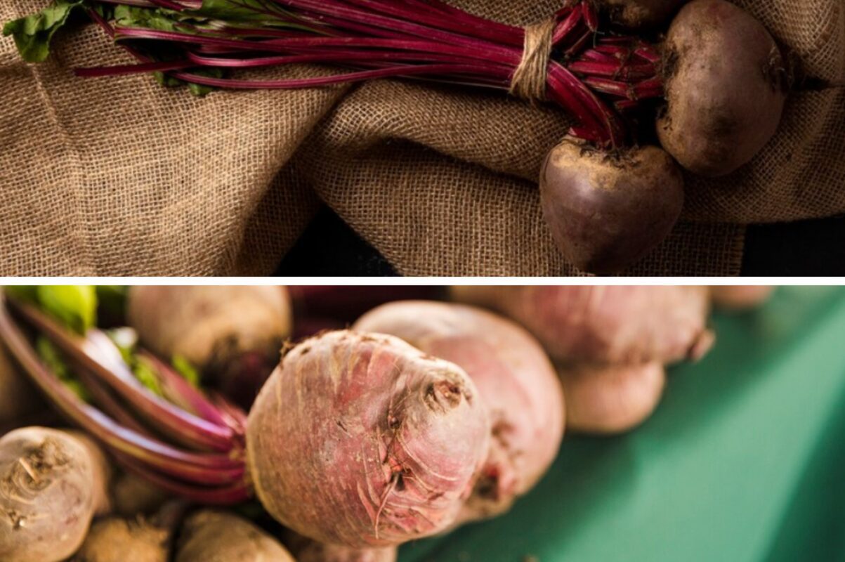 Городники розсекретили найефективніше літнє підживлення для буряків в 2025