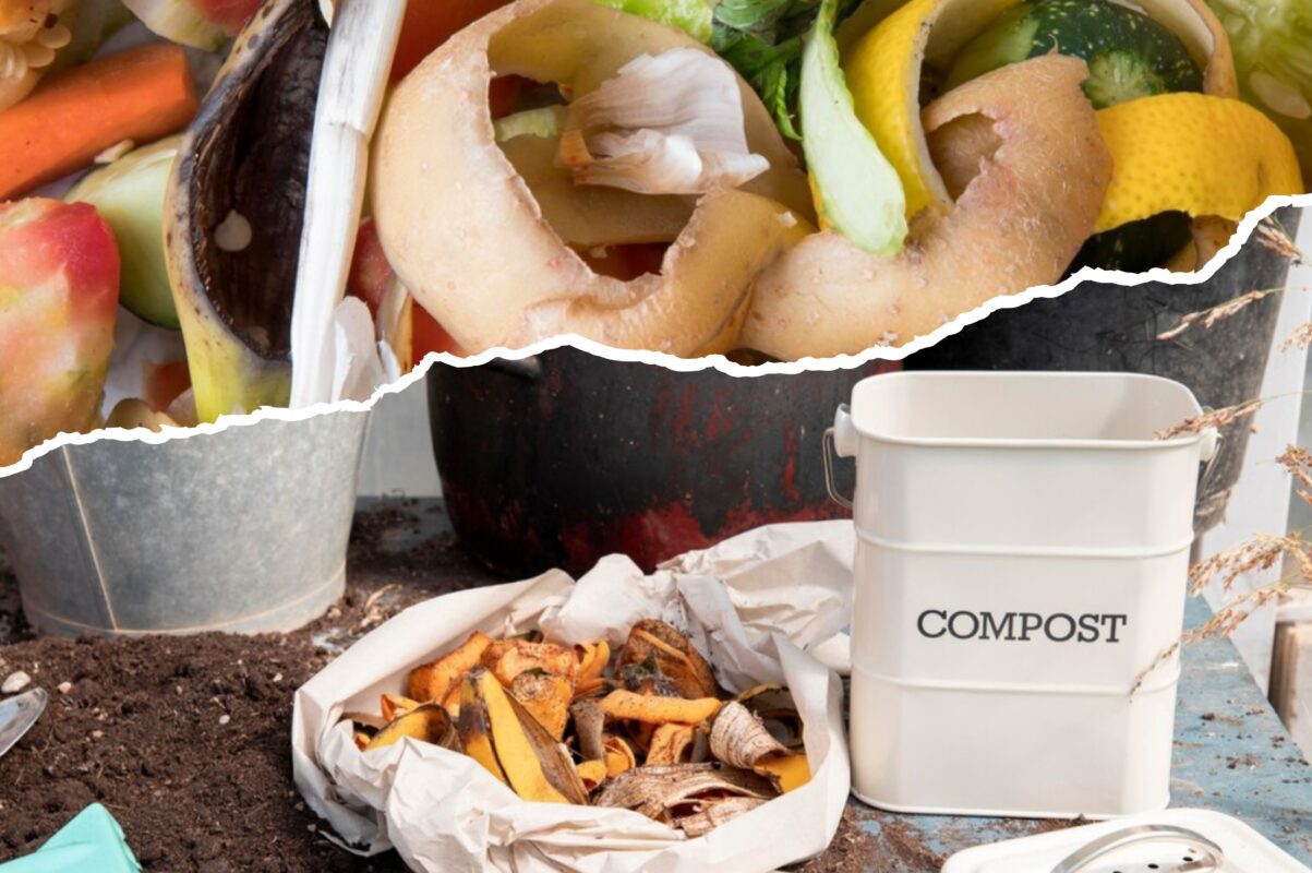 Садівники пояснили, як у жовтні якісно зробити домашній компост