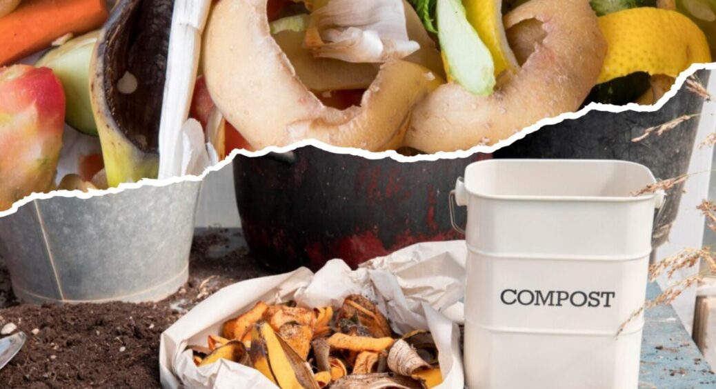 Це не смітник, а справжня інвестиція в город: закладаємо компост у серпні-2025 правильно 