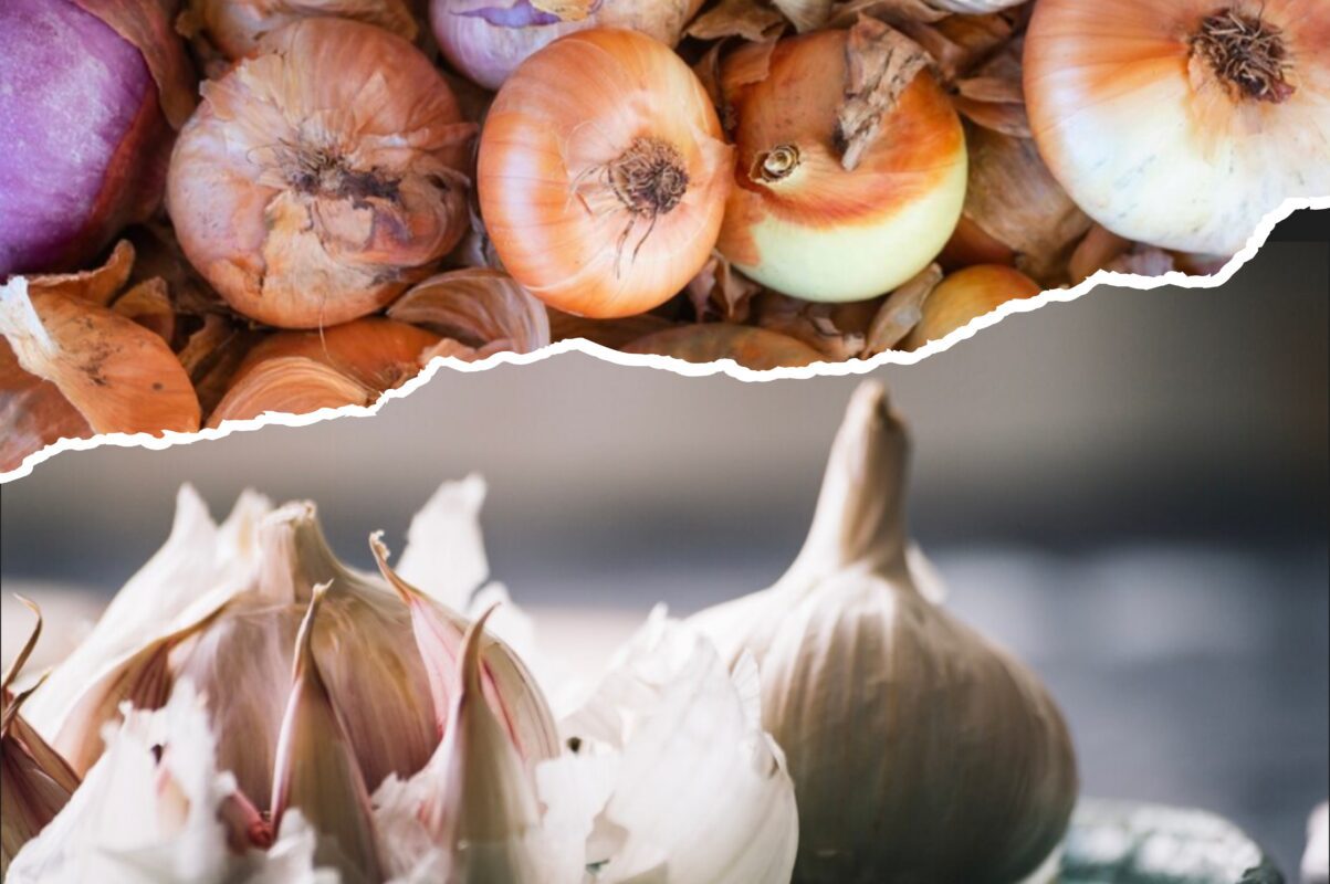 Що зробити з насінням цибулі та часнику, щоб урожай збільшився в 3 рази