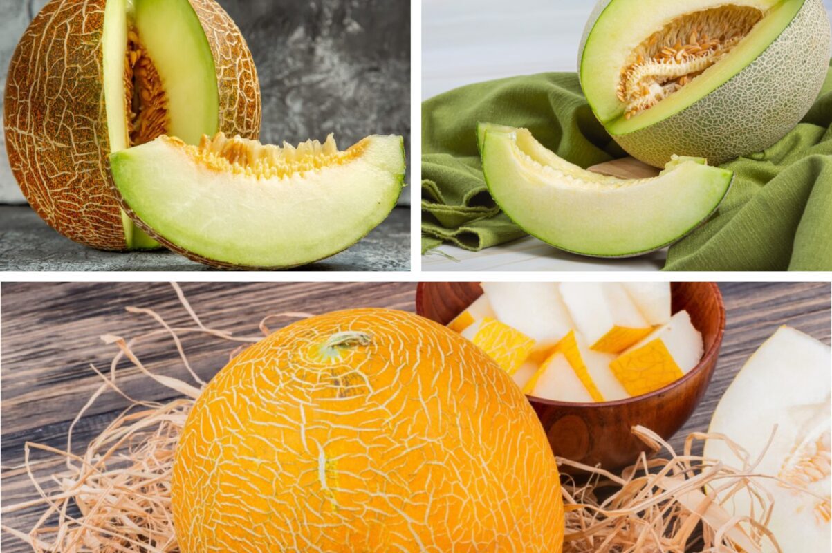 Садівники розповіли, чим полити диню для рясного врожаю влітку 2025