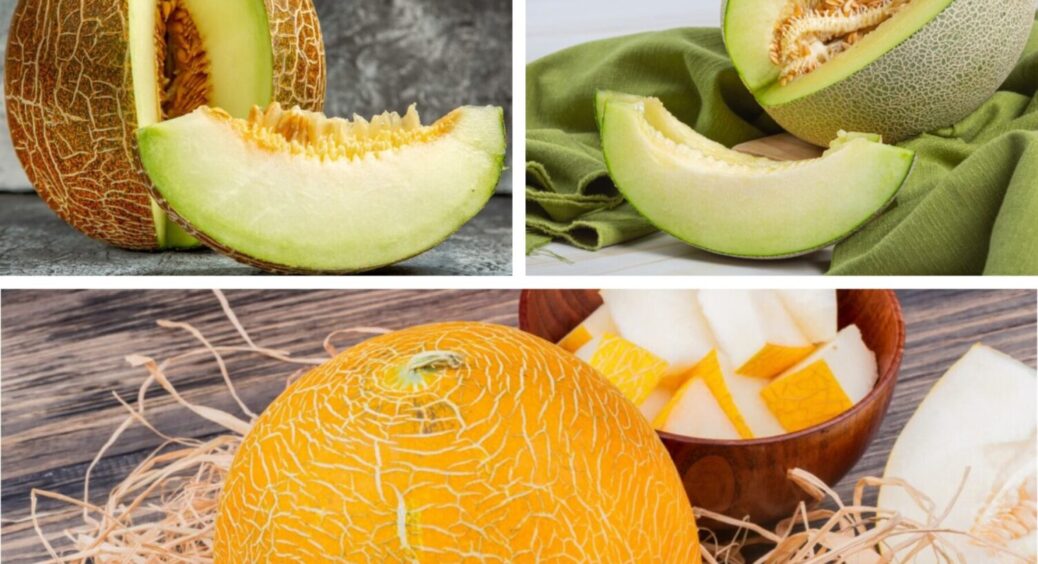 Яка господиня, така і диня: щоб була солодка і велика – вносимо за 2 тижні до збору це 