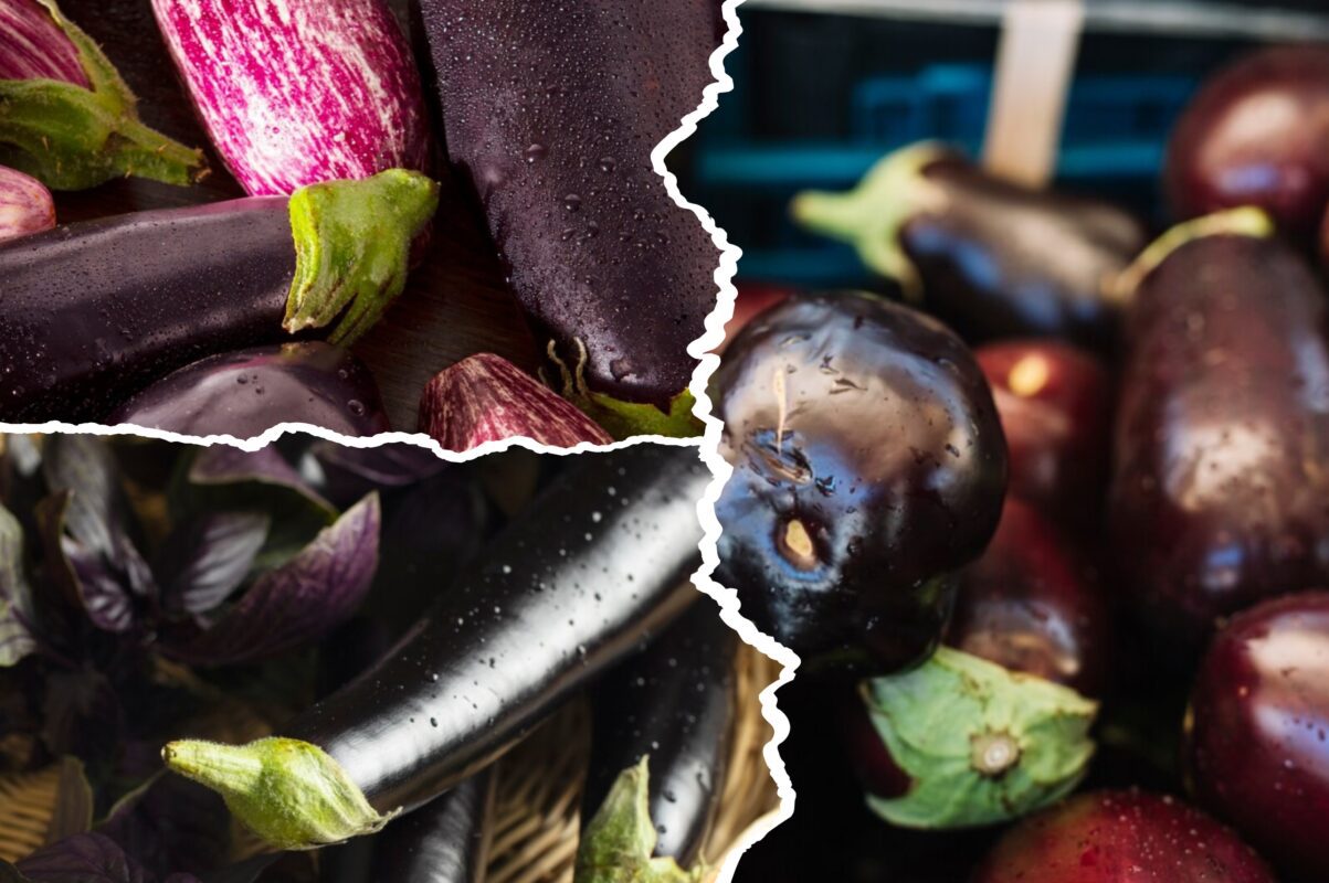 Експерт розповів, що робити, якщо зав'язі синіх опадають