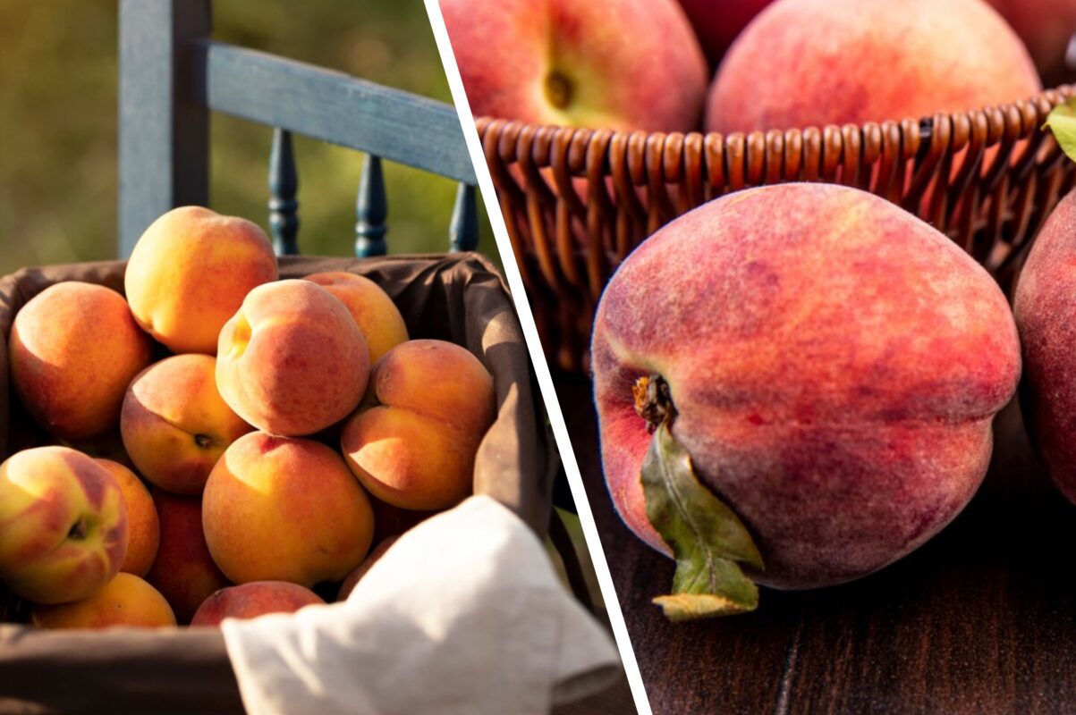 Садівники розсекретили найкраще літнє підживлення для персику