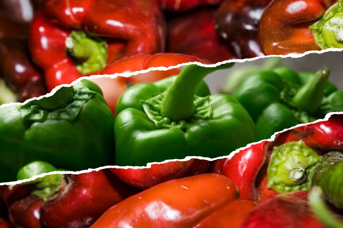 Городники розповіли, як виростити розкішний врожай перцю в 2025-му