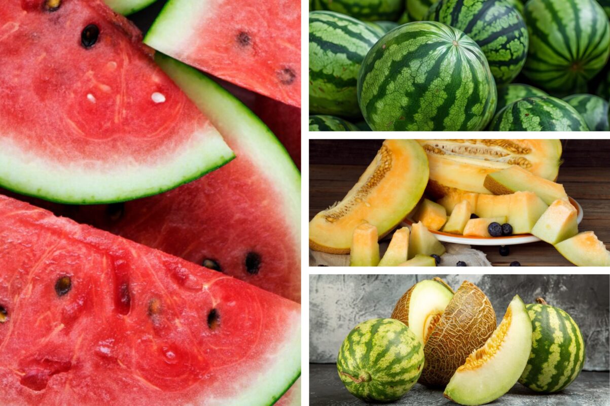 Садівники розповіли, чим підживити кавуни й дині в липні 2025