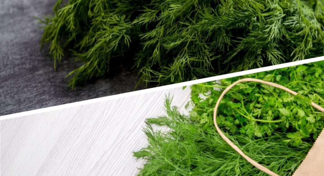 Не кріп, а справжній скарб: ось, що роблю з зеленню з року в рік, і в 2025-му теж 