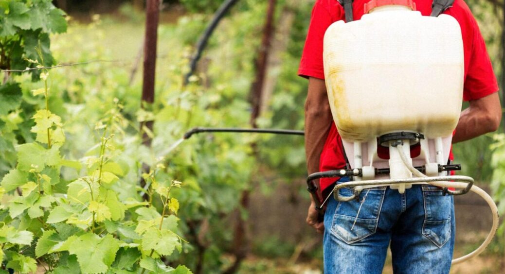 Швидка допомога для рослин: що таке позакореневе підживлення і чому без нього у 2025 ніяк 