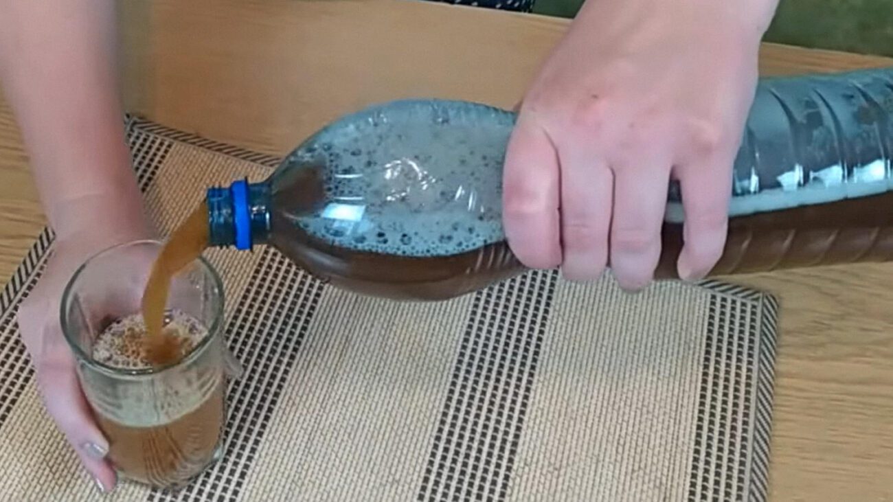 Кулінари поділилися рецептом освіжаючого квасу з розчинної кави