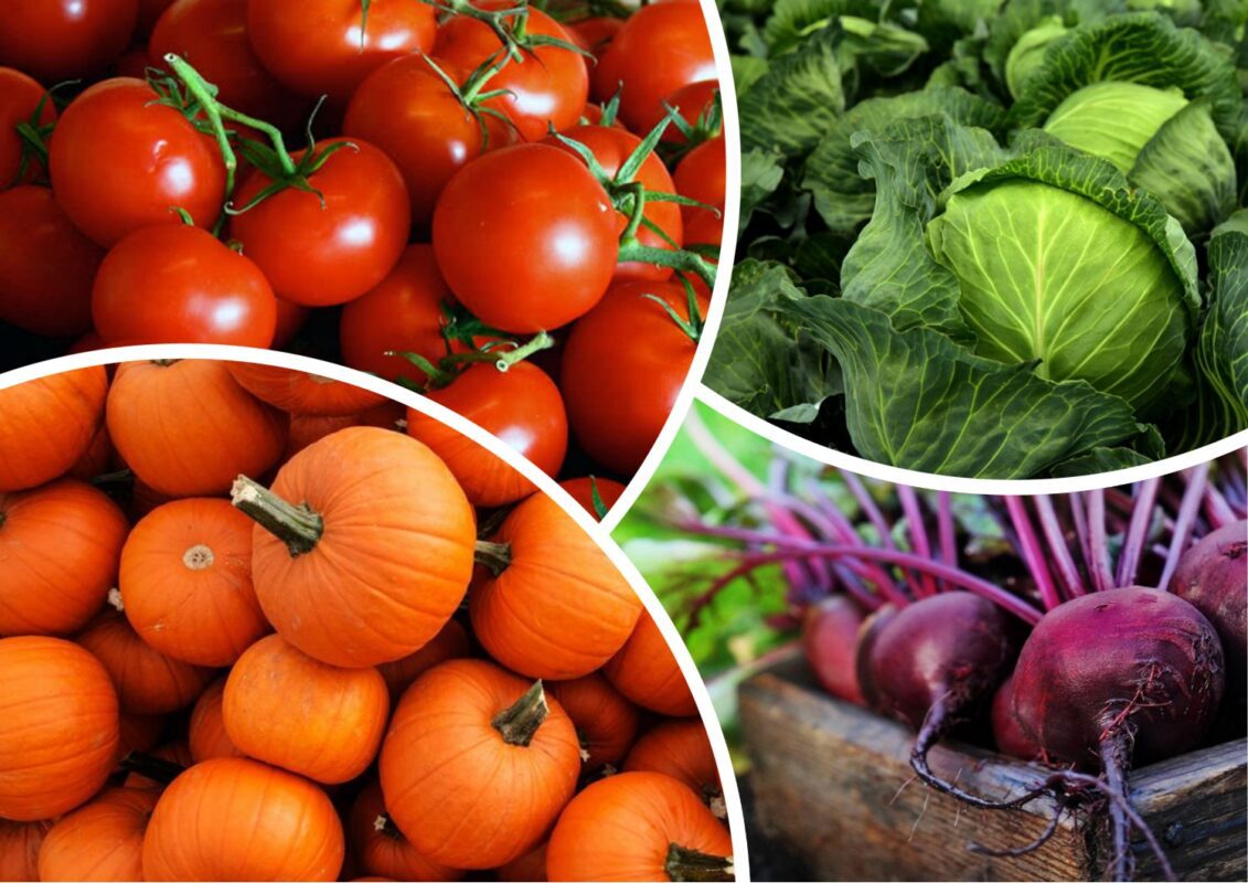 В якому порядку збирати врожай городини