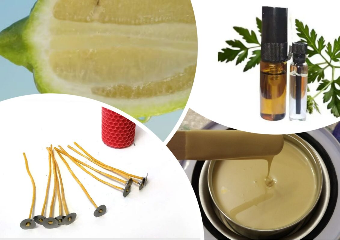 Як зробити самотужки засіб від комарів