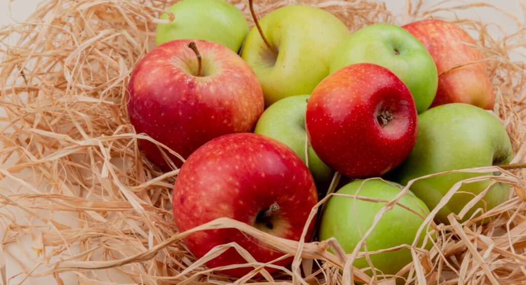 Коростенці обробляють врожай в кінці літа 2025 цим: яблука лежать всю зиму і зберігають смак 