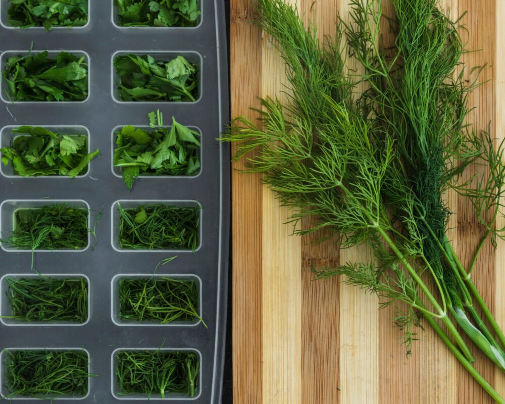 Городники назвали найкращі сорти пізньостиглого кропу