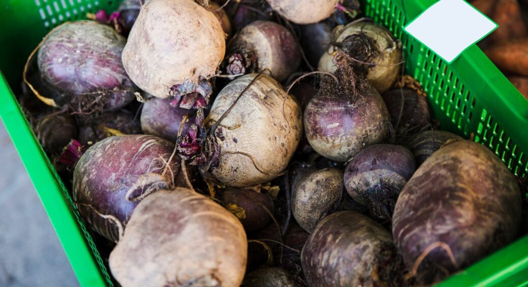 Підгодував буряк 2025 цим, і в урожаї впевнений: ось чим його підживлюють у Чернівцях 