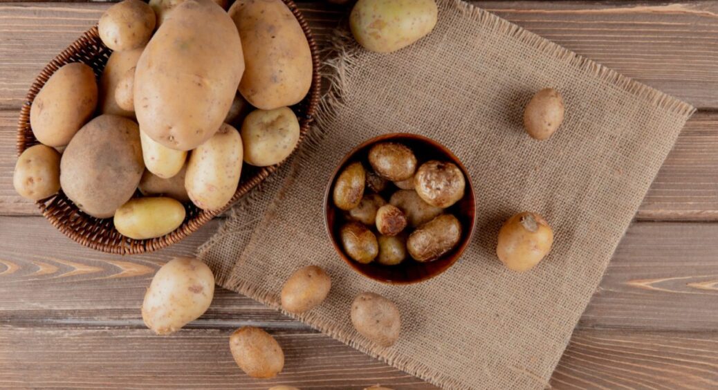 “Нагодуйте” смородину або додайте у компост: з року в рік роблю із картоплею ось це – 5 ідей 