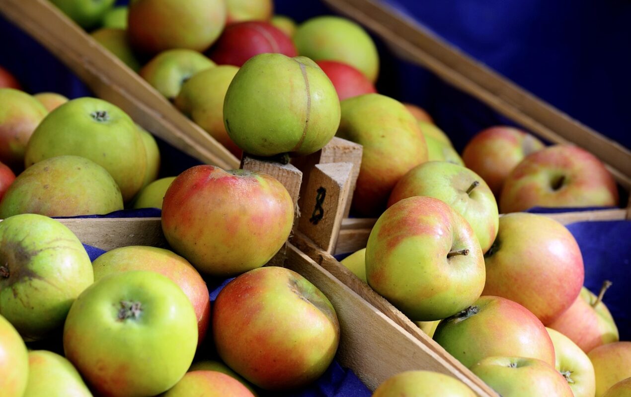 Як правильно зберігати яблука на зиму