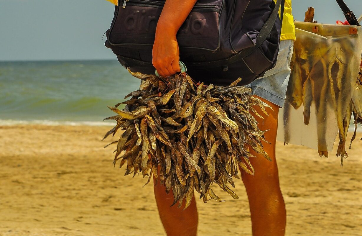 Кулінари пояснили, як в Одесі готують найулюбленішу страву Бички в томаті
