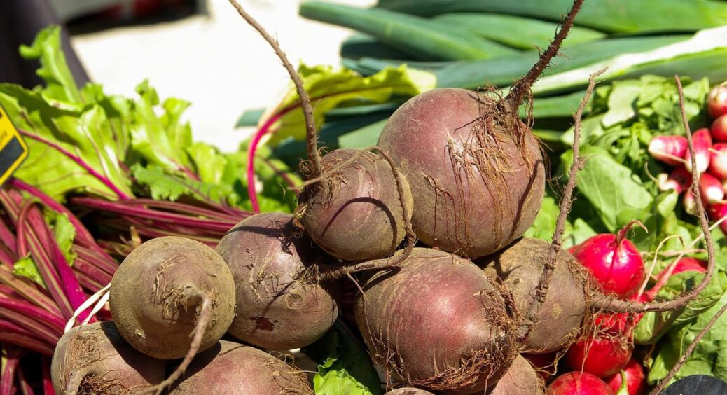 Завжди у серпні даю бурякам це, і вони збільшуються у розмірі в 2 рази: 100% робочий метод 