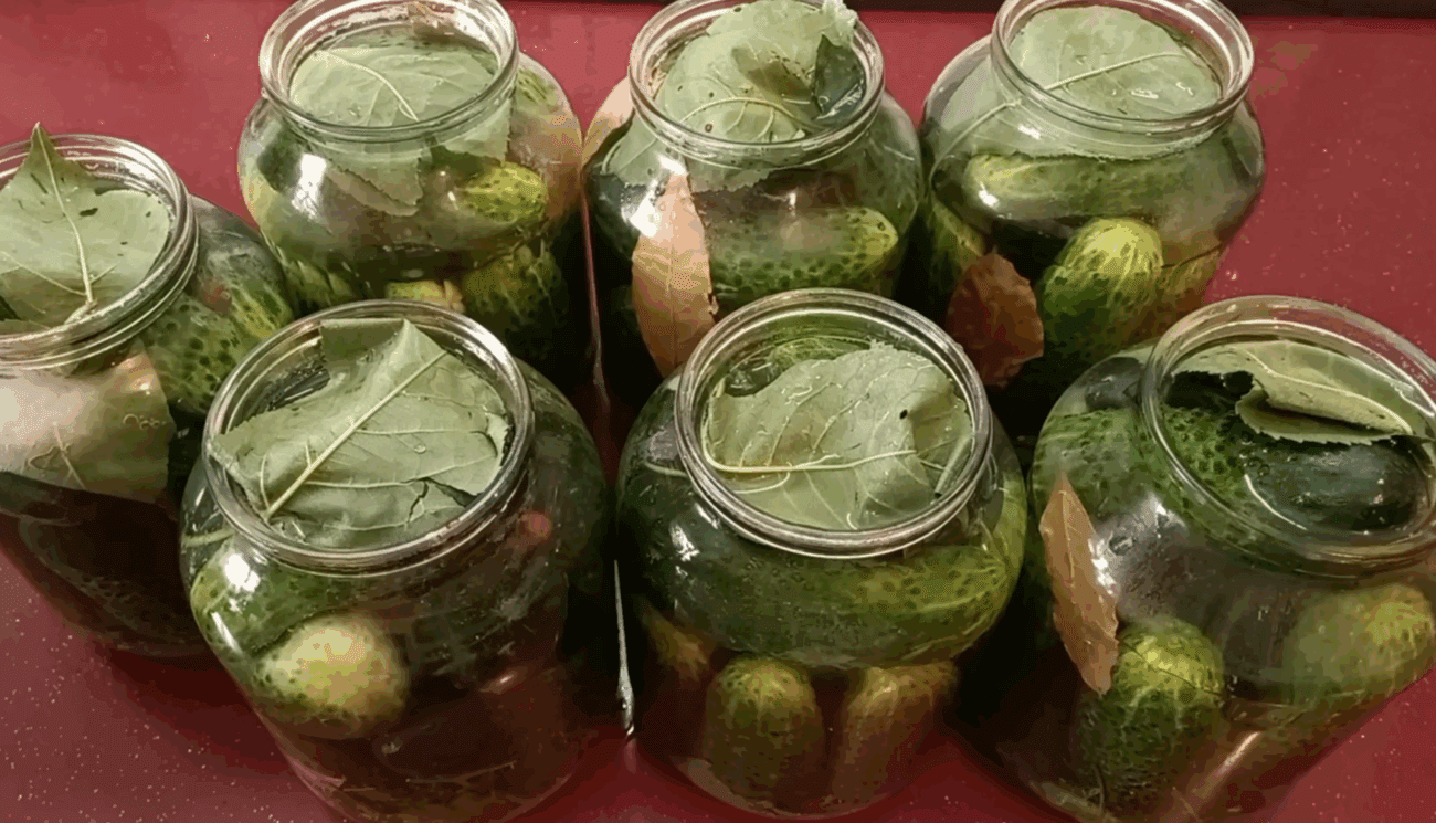 Рецепт хрумких солоних огірків на зиму холодним способом