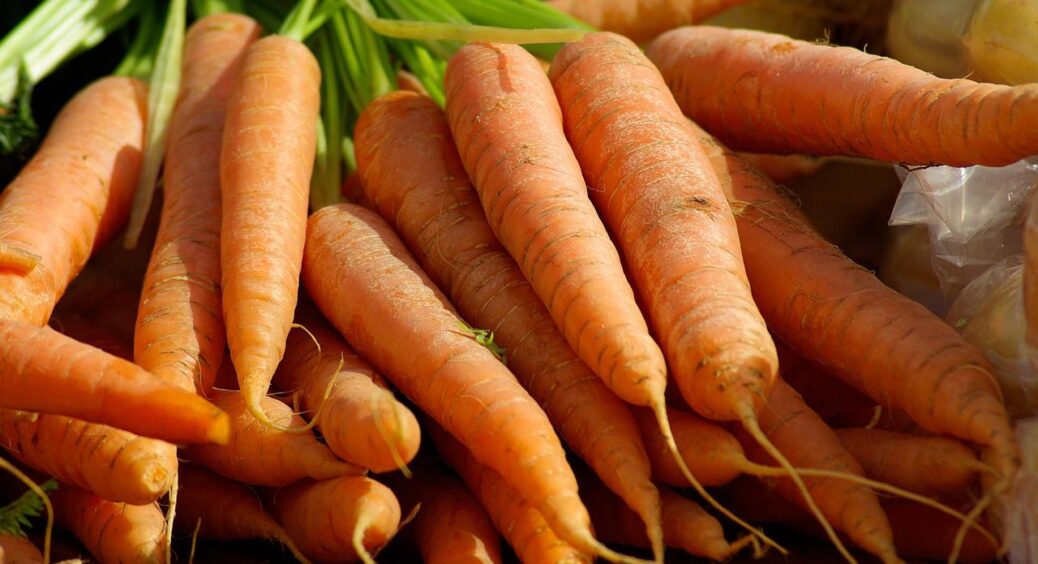 30 г на 10 л води – і морква перестала гірчити: застосовуйте в серпні, коли спека стихає 