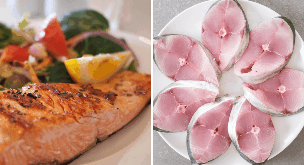 Лосось чи тунець – яка риба корисніша? Дієтологи дали 1 вичерпну відповідь на запитання 