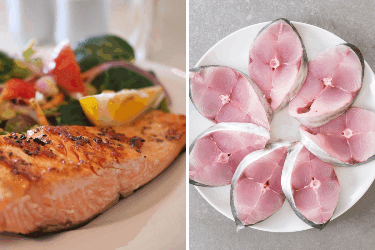 Яка риба найкорисніша - лосось чи тунець