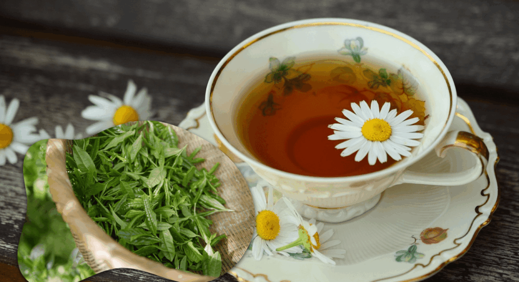 Не м’ята і не меліса: цей чай знімає втому за 10 хвилин і допомагає від безсоння 