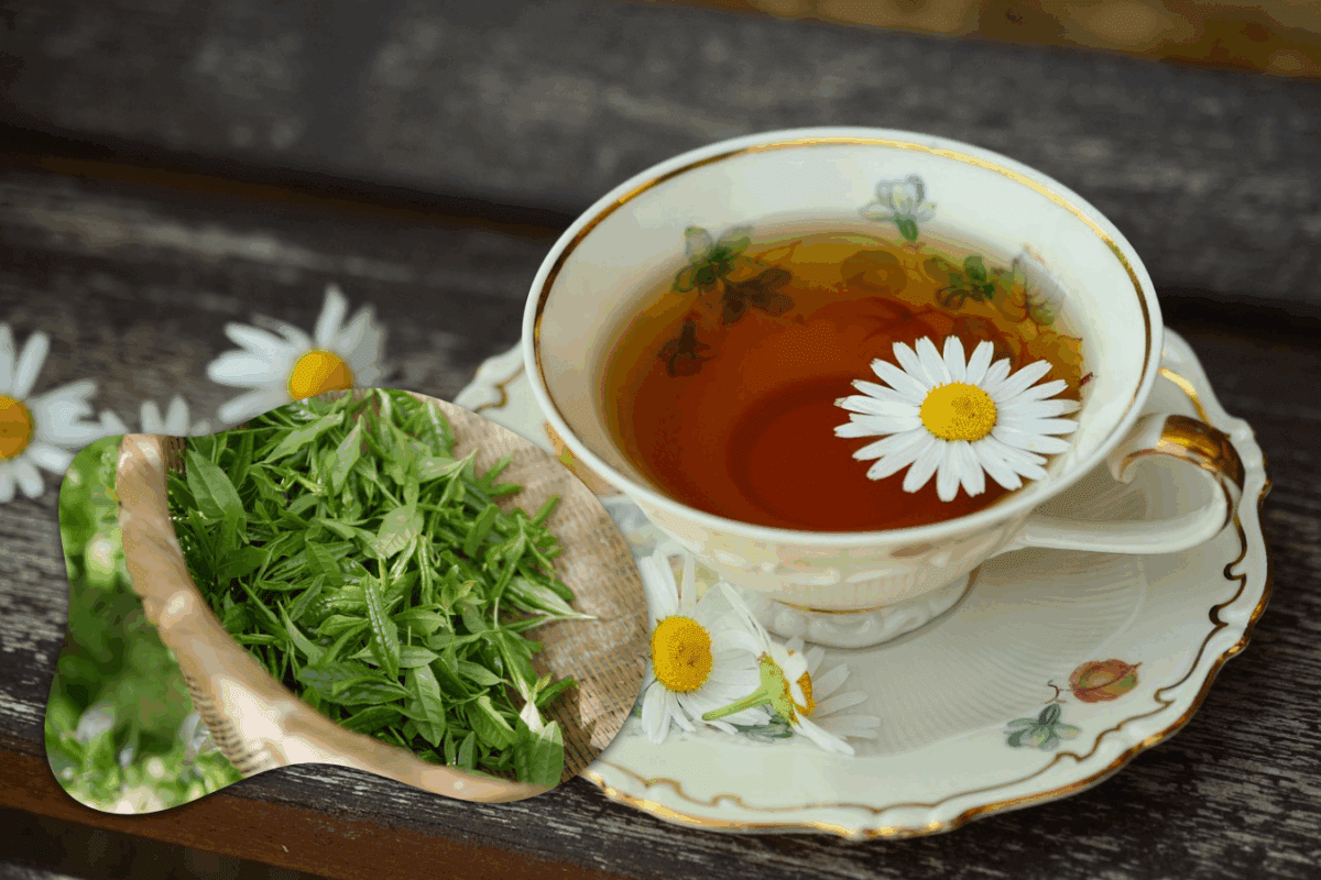 Господині розповіли, що можна додати до чаю, щоб він смакував краще