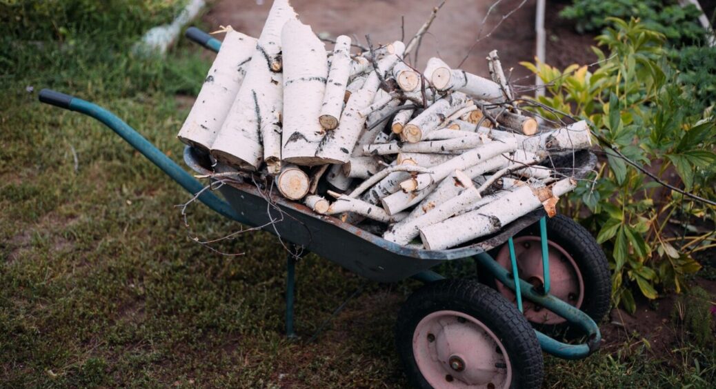 Унікальний метод зменшення кислотності ґрунту: багато овочів подякують за це вже влітку-2026 